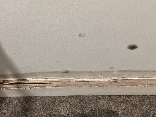 Greentree Village Apartments