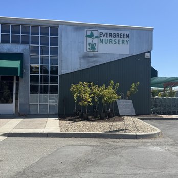 Evergreen Nursery - Nurseries & Gardening Near Me - San Leandro, California Evergreen Nursery - Nurseries & Gardening Near Me - San Leandro, California
