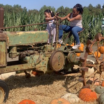 The Patch - Santa Maria - Pumpkin Patches Near Me - Santa Maria, California The Patch - Santa Maria - Pumpkin Patches Near Me - Santa Maria, California