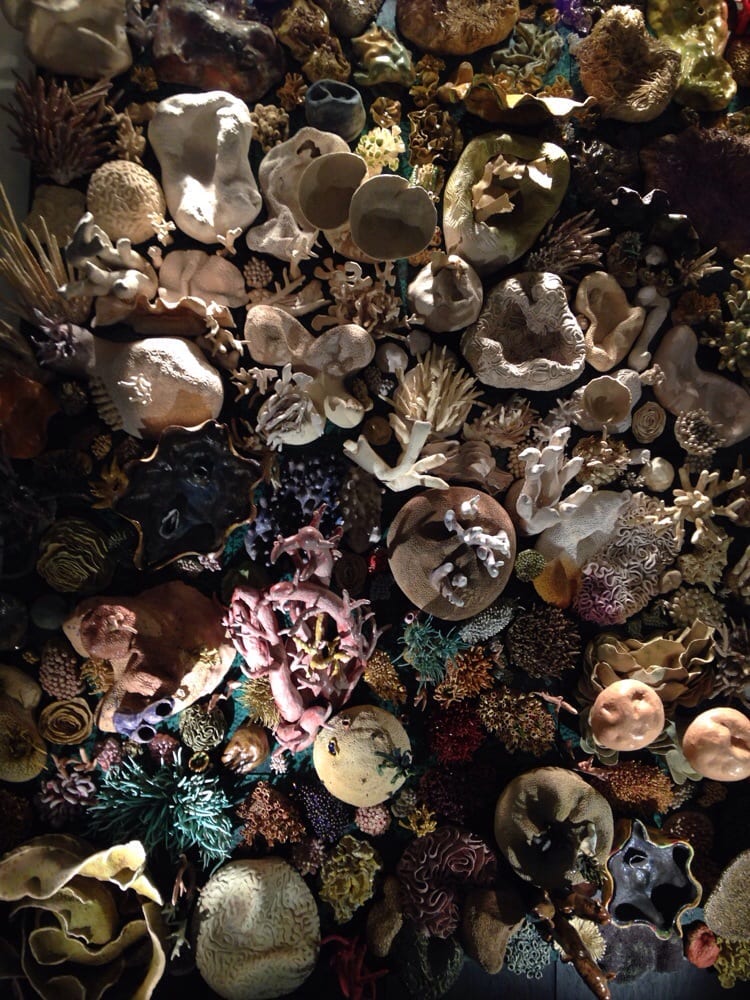 AAAS - American Association for the Advancement of Science - social services organization in Washington, DC, DC