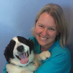 Morgan County Animal Hospital