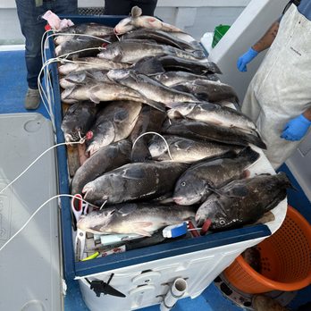 Gypsea Fishing Charters - Fishing Near Me - Howard Beach, New York