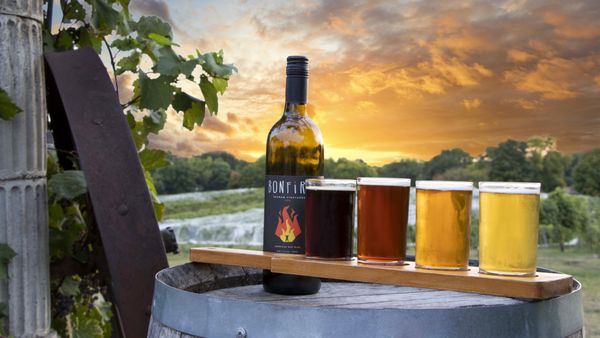 Schram Vineyards Winery & Brewery by null