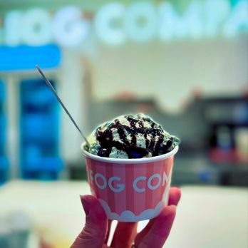 The Fog Company - Small mint chocolate chip scoop with chocolate sauce - hubby's fave. It was lovely! - Ice Cream & Frozen Yogurt Near Me - Halifax, Nova Scotia The Fog Company - Small mint chocolate chip scoop with chocolate sauce - hubby's fave. It was lovely! - Ice Cream & Frozen Yogurt Near Me - Halifax, Nova Scotia