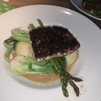 Yard House - Porcini Crusted Halibut - New American Near Me - Atlanta, Georgia Yard House - Porcini Crusted Halibut - New American Near Me - Atlanta, Georgia