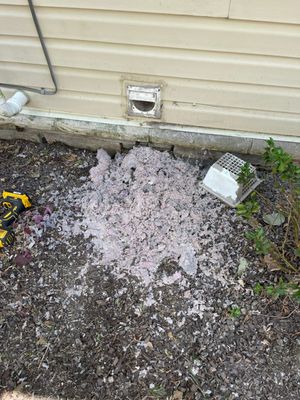 Dryer Vent Can Cause House Fire🔥 - DO YOU KNOW WHAT PERCENTAGE OF HOUSE FIRES ARE LINKED TO DIRTY DRYER VENTS?????
According to NFPA 92% of house fires are related to dirty dryer vents! 😳
This is preventable!! Give us a call for the first step in protecting your house.
📞859-629-2010 Dryer Vent Can Cause House Fire🔥 - DO YOU KNOW WHAT PERCENTAGE OF HOUSE FIRES ARE LINKED TO DIRTY DRYER VENTS?????
According to NFPA 92% of house fires are related to dirty dryer vents! 😳
This is preventable!! Give us a call for the first step in protecting your house.
📞859-629-2010