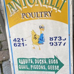 Antonelli Poultry