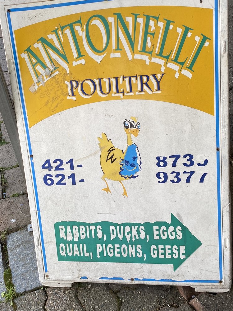ANTONELLI POULTRY Updated September 2024 21 Photos & 19 Reviews