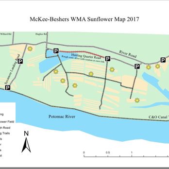 McKee-Besher WMA - Map of Sunflowers 2017 - Parks Near Me McKee-Besher WMA - Map of Sunflowers 2017 - Parks Near Me