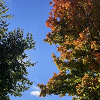 Cherokee Park - Trees and sky - Parks Near Me - Louisville, Kentucky