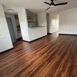 Ariel Ruiz Cleaning Service