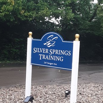 Silver Springs Stud Farm - Horse Boarding Near Me - Paris, Kentucky