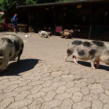 Familienpark Sottrum - Amusement Parks Near Me - Holle, NI