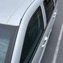 Calibears Dent and Paint Repair