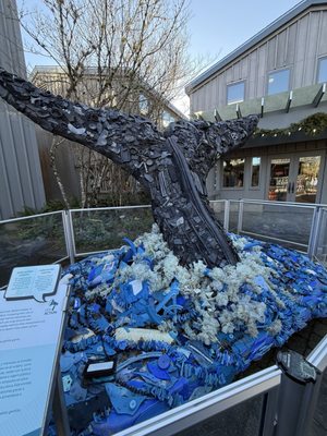 Oregon Coast Aquarium by null