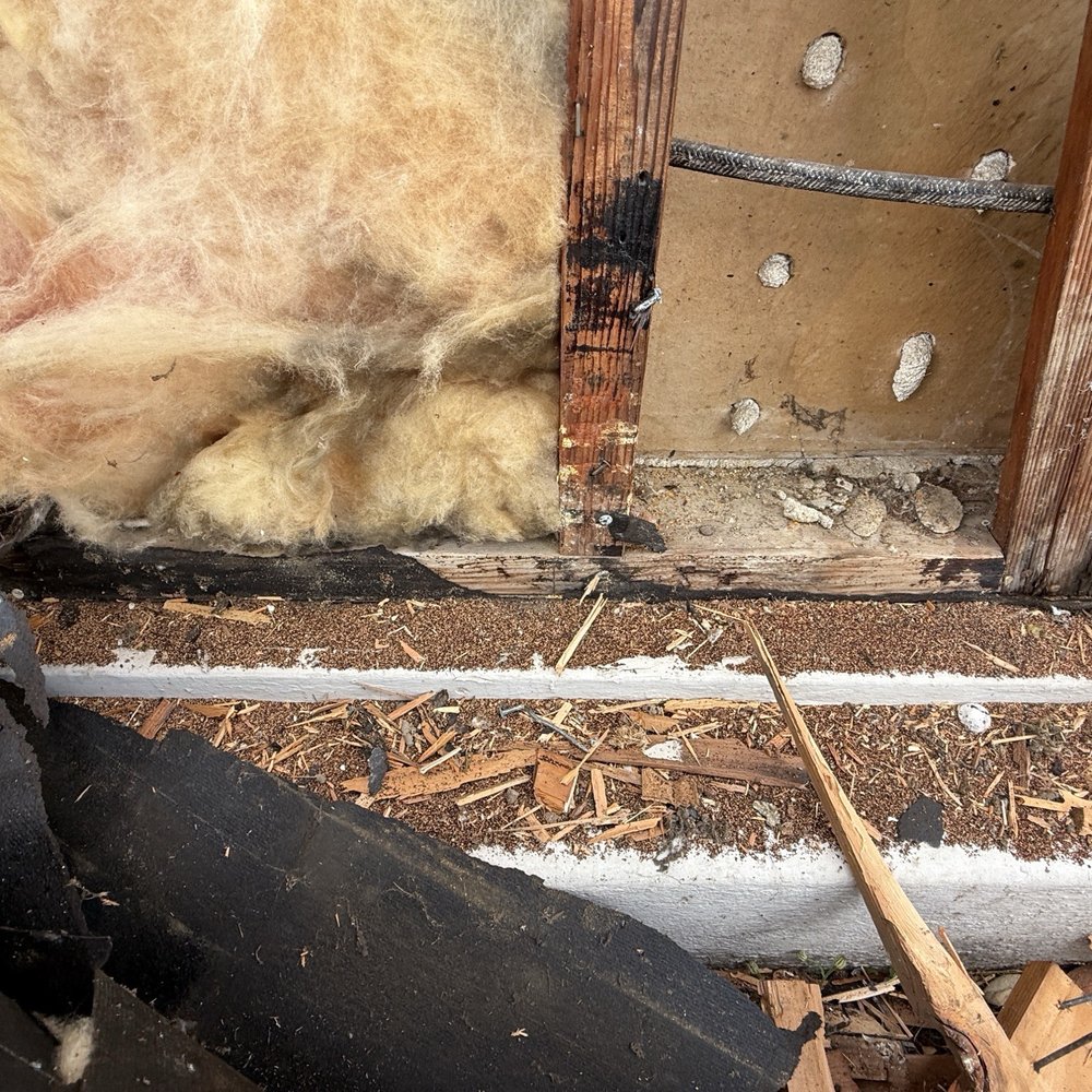 Foothill Termite Control - Termite dropping - Pest Control Near Me - Monrovia, California Foothill Termite Control - Termite dropping - Pest Control Near Me - Monrovia, California