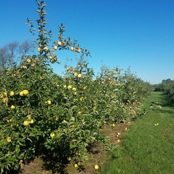 Gull Meadow Farms - Fruits & Veggies Near Me - Richland, Michigan Gull Meadow Farms - Fruits & Veggies Near Me - Richland, Michigan
