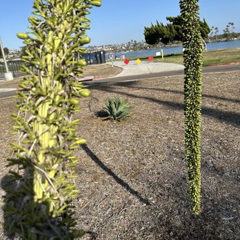 Mission Bay Park - Parks Near Me - San Diego, California Mission Bay Park - Parks Near Me - San Diego, California