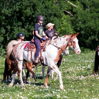 Tri-Star Farm - Beautiful Horses - Horseback Riding Near Me - Austin, Texas