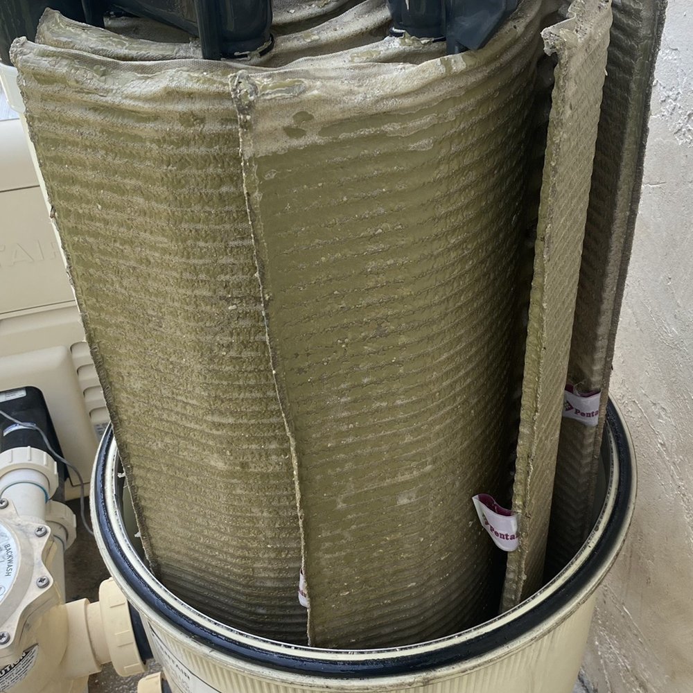 Thomas pool and spa care - This is 2.5 weeks after i was told filter was cleaned. - Pool Cleaners Near Me Thomas pool and spa care - This is 2.5 weeks after i was told filter was cleaned. - Pool Cleaners Near Me