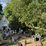 Little Wren Weddings
