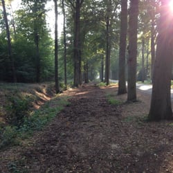 Boschwachter in 't Mastbos - Fantastisch bos om te wandelen, joggen of serieus te trainen voor de marathon!