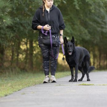 Merritt Dog Training - Pet Training Near Me - Charlotte, North Carolina Merritt Dog Training - Pet Training Near Me - Charlotte, North Carolina