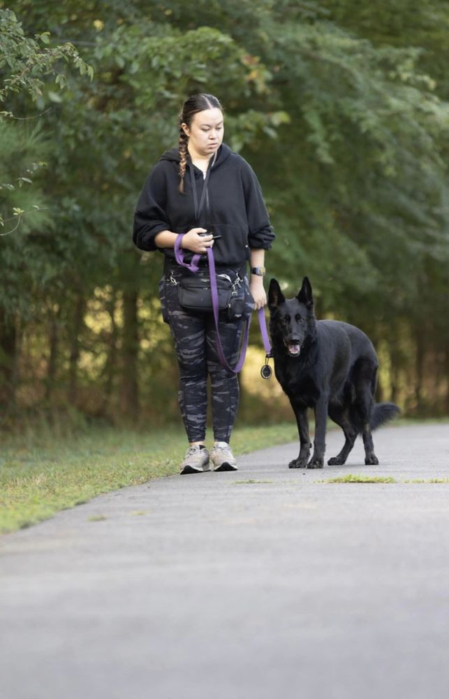 Merritt Dog Training - pet boarding facility in Charlotte, NC