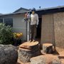 Photo of Nxttre Landscape And Tree Care
