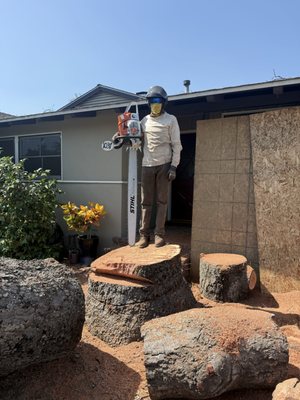 Nxttre Landscape And Tree Care on Yelp