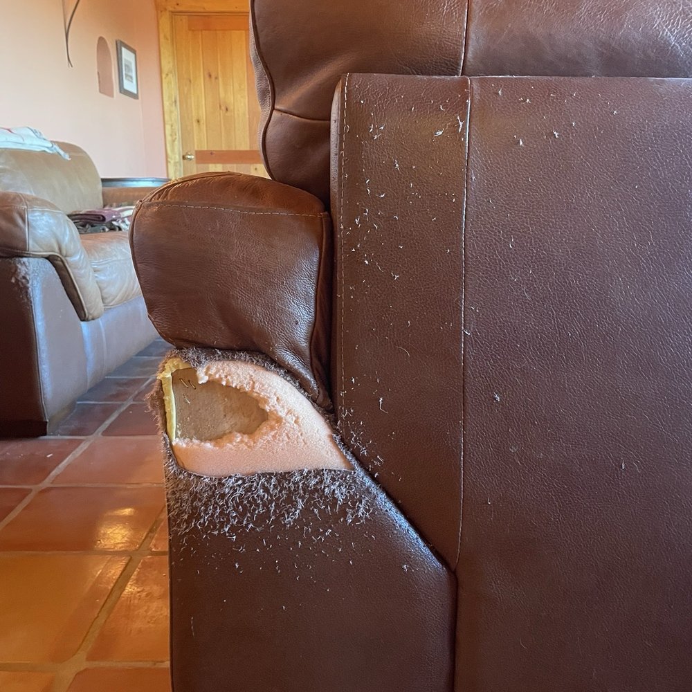 Anderson Restoration - Destroyed! - Furniture Repair Near Me - Santa Fe, New Mexico