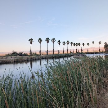 Mojave National Preserve - Parks Near Me - Kelso, California