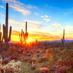 Pinnacle Peak Oral Surgery & Dental Implants: Eugene Kim, DDS