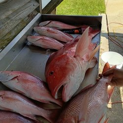 Freebird Charters