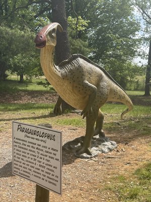 Dinosaur Land by null