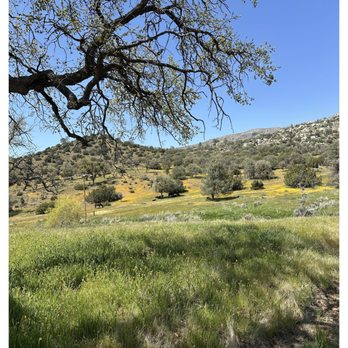 Golden Ranch Estates - Educational Services Near Me - Caliente, California Golden Ranch Estates - Educational Services Near Me - Caliente, California
