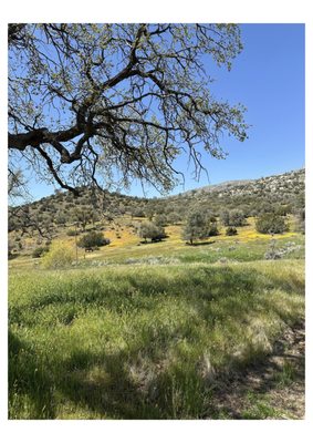 Golden Ranch Estates 