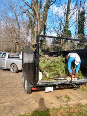 Tree Removal with McNeair's Tree Service - McNeair's Tree Service delivers the tree removal services you need if you have trees that you would like to have removed. Our tree experts remove the trees in question to whatever extent you prefer. Whatever your needs and preferences may be, we can accommodate. We also offer yard clean-up services. To learn more about our tree removal or tree cutting services, contact us at McNeair's Tree Service today.