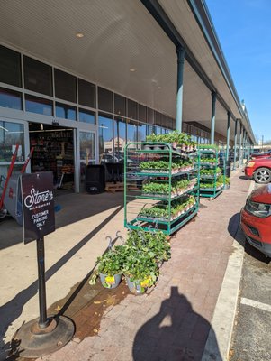Ace Hardware Dallas by null