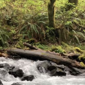 Bridal Veil Falls - Hiking Near Me - Corbett, Oregon