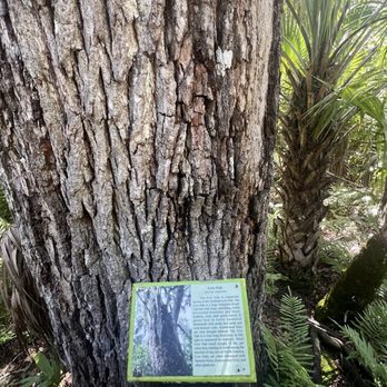 Erna Nixon Park - Parks Near Me - Melbourne, Florida