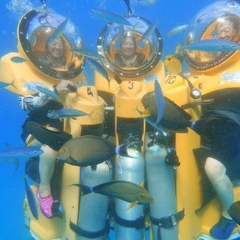 Bob's Hawaii Adventure - Say cheeeese - Tours Near Me - Honolulu, Hawaii