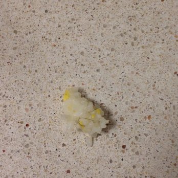 Tai Chi - Hair entangled in pork fried rice 6/25/17 - Chinese Near Me - San Francisco, California Tai Chi - Hair entangled in pork fried rice 6/25/17 - Chinese Near Me - San Francisco, California