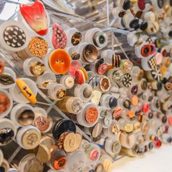 Lofty Lou's Yarn Shop