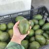 Gonzalez Produce Stand gift card