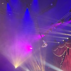 Circus Vargas