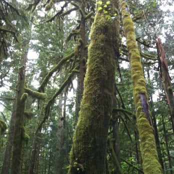 Wallace Falls State Park - Parks Near Me - Gold Bar, Washington Wallace Falls State Park - Parks Near Me - Gold Bar, Washington
