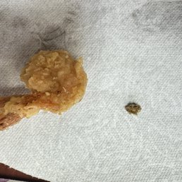 Fried roach