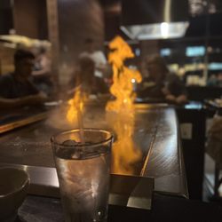 Shogun Japanese Grill & Sushi Bar