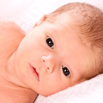 Life Prints Portrait Design - Newborn Portrait Photography - Session Photography Near Me